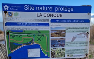 (Annulé cause tempête vigilance Orange) MEZE (La Conque et le parc du Sesquier) Remplace Vendres et Valras