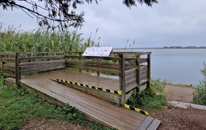 PALAVAS LES FLOTS 34250 (Etangs et canaux et Cathédrale de Maguelone)